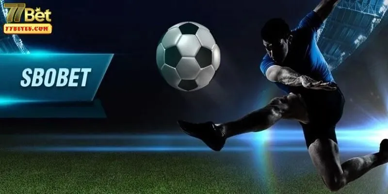 sbobet-77bet-1